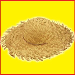 Straw Beachcomber Hat